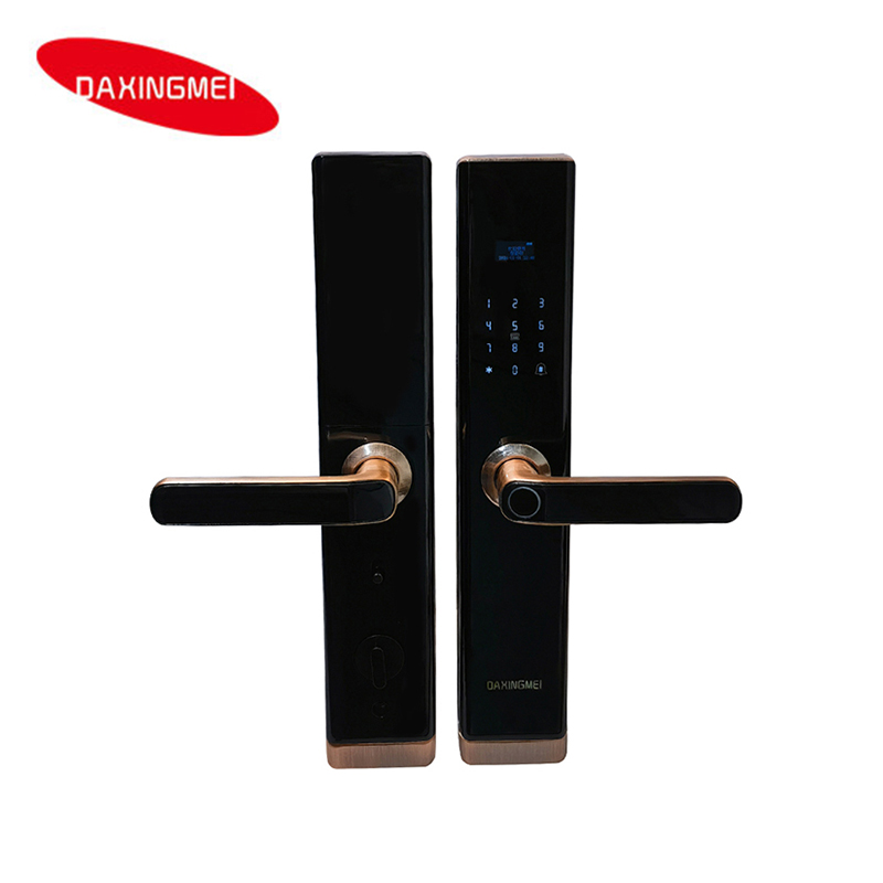 Smart Door Lock (Smart Fingerprint Password Electronic Lock)