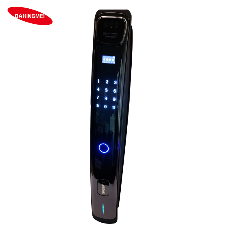 3D Face Recognition Smart Fingerprint Password Electronic Lock